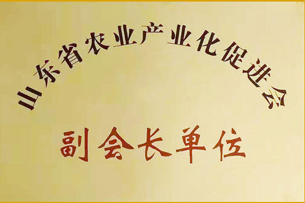 榮譽資質(zhì)