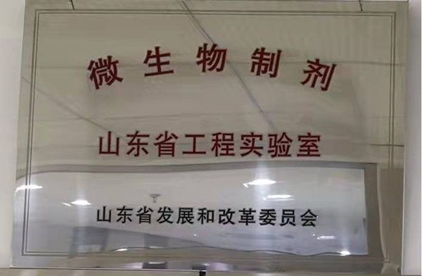 榮譽資質(zhì)