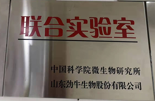 榮譽資質(zhì)