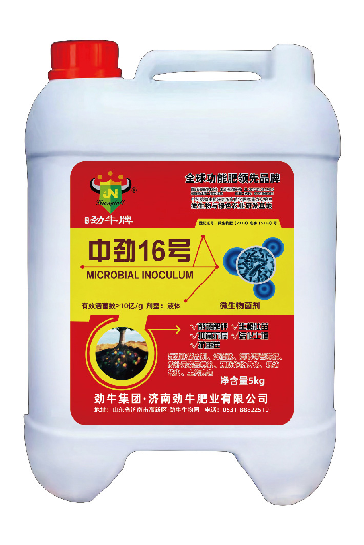 網(wǎng)站包裝_中勁16號(hào)5kg.jpg